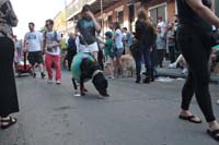 2016-Mystic-Krewe-of-Barkus-004700