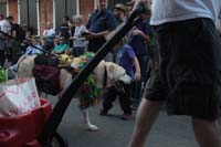 2016-Mystic-Krewe-of-Barkus-004701