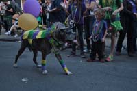 2016-Mystic-Krewe-of-Barkus-004718