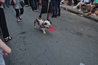 2016-Mystic-Krewe-of-Barkus-004727