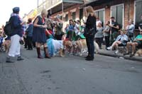 2016-Mystic-Krewe-of-Barkus-004755