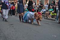 2016-Mystic-Krewe-of-Barkus-004758