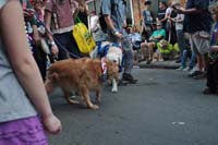2016-Mystic-Krewe-of-Barkus-004761