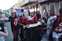 2016-Mystic-Krewe-of-Barkus-004835