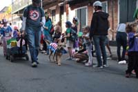 2016-Mystic-Krewe-of-Barkus-005252
