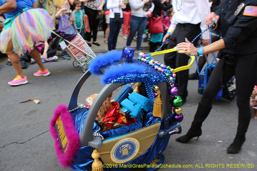 2016-Mystic-Krewe-of-Barkus-hc005389