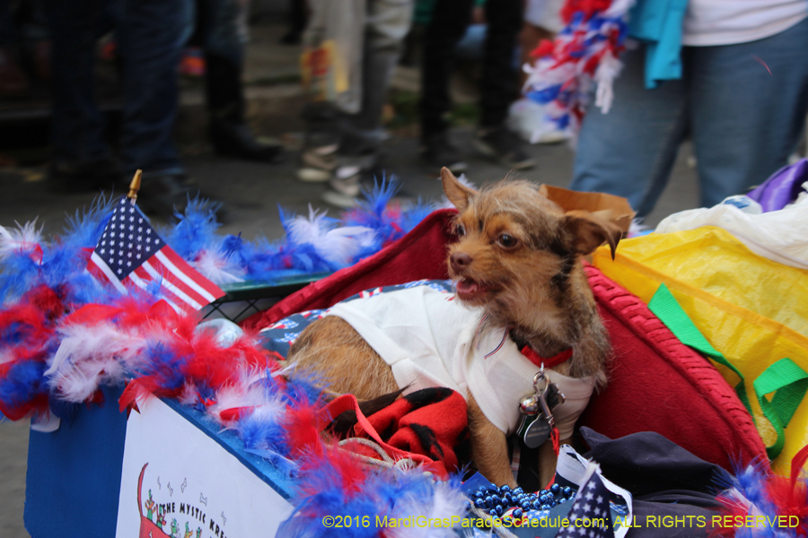 2016-Mystic-Krewe-of-Barkus-hc005398