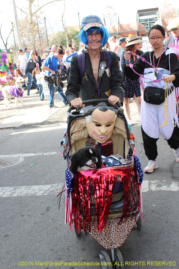 2016-Mystic-Krewe-of-Barkus-hc005399