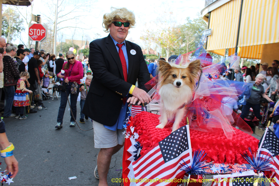 2016-Mystic-Krewe-of-Barkus-hc005400