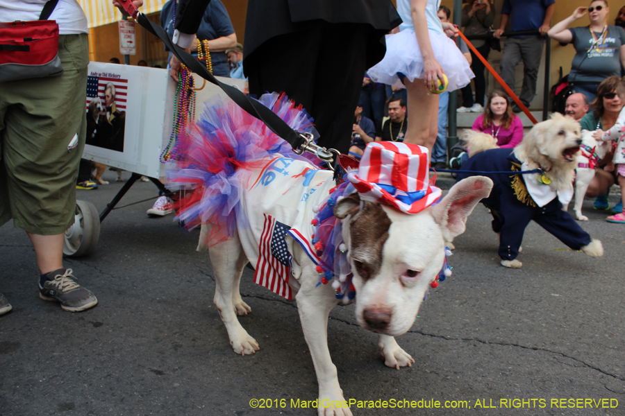 2016-Mystic-Krewe-of-Barkus-hc005404
