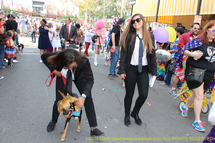 2016-Mystic-Krewe-of-Barkus-hc005406