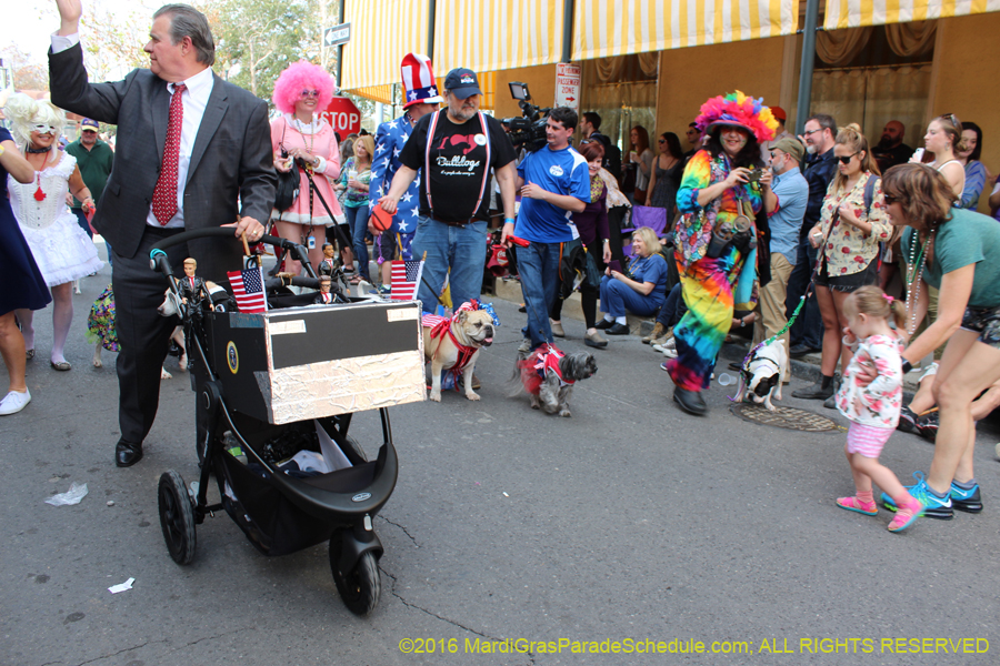 2016-Mystic-Krewe-of-Barkus-hc005407