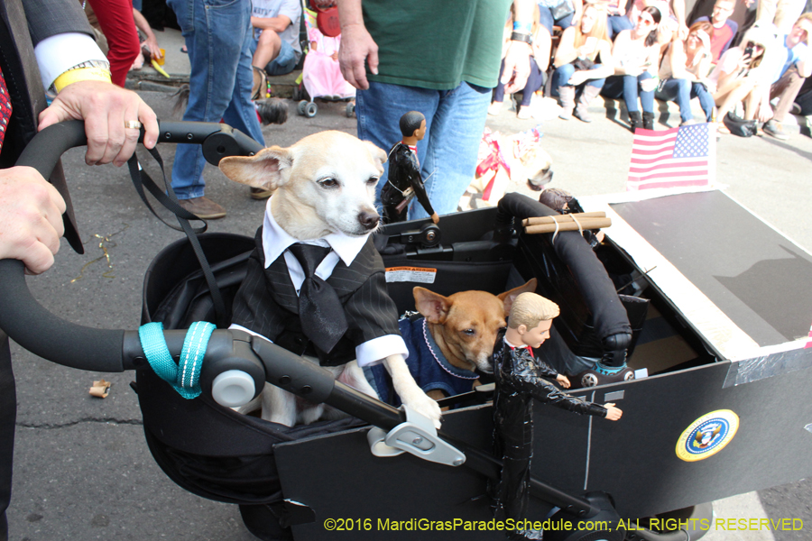 2016-Mystic-Krewe-of-Barkus-hc005408