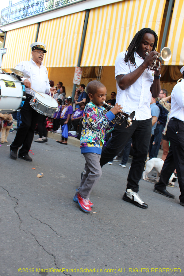 2016-Mystic-Krewe-of-Barkus-hc005412
