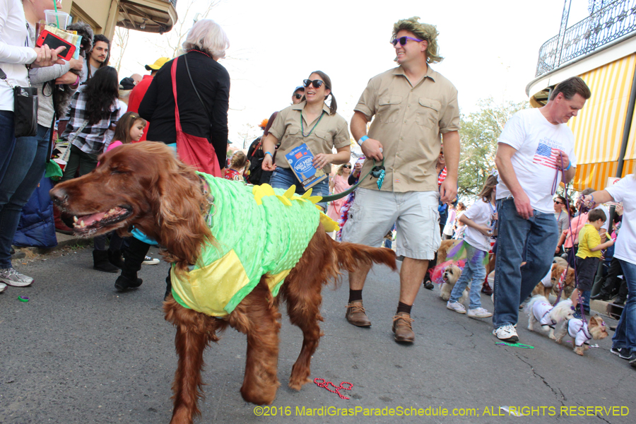 2016-Mystic-Krewe-of-Barkus-hc005413
