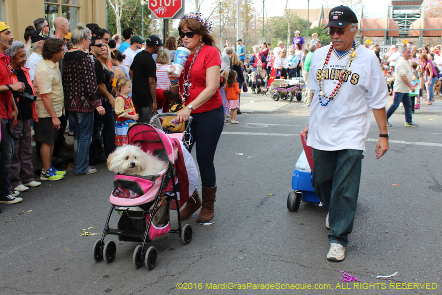 2016-Mystic-Krewe-of-Barkus-hc005415