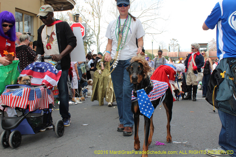 2016-Mystic-Krewe-of-Barkus-hc005418