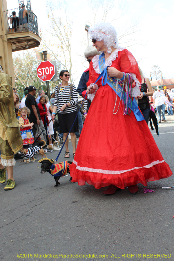 2016-Mystic-Krewe-of-Barkus-hc005419