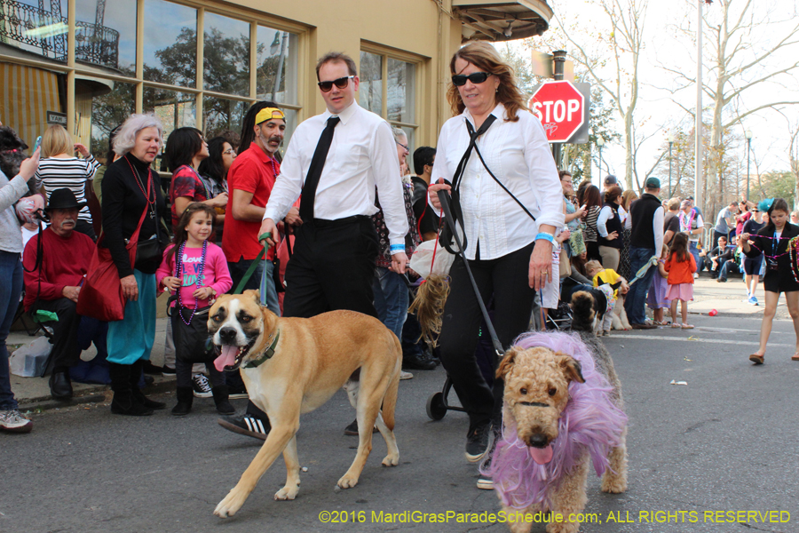 2016-Mystic-Krewe-of-Barkus-hc005422