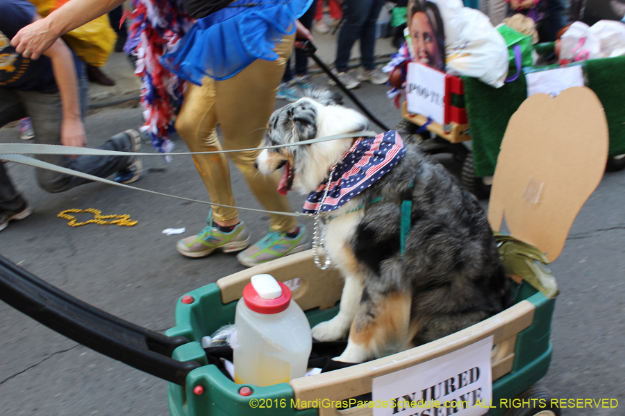 2016-Mystic-Krewe-of-Barkus-hc005424