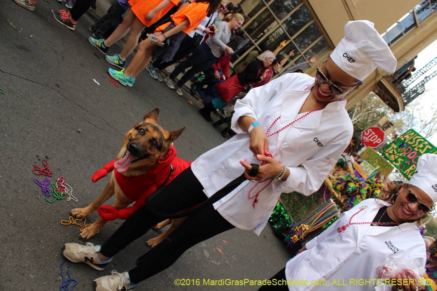 2016-Mystic-Krewe-of-Barkus-hc005425