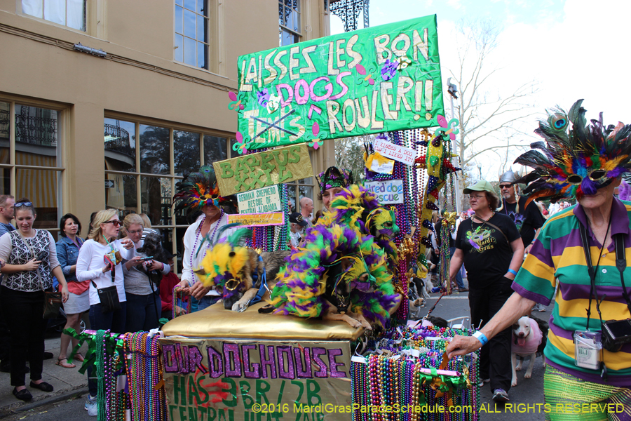 2016-Mystic-Krewe-of-Barkus-hc005426