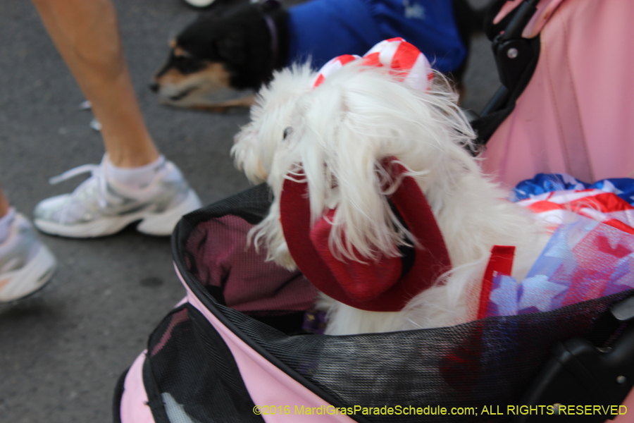 2016-Mystic-Krewe-of-Barkus-hc005427
