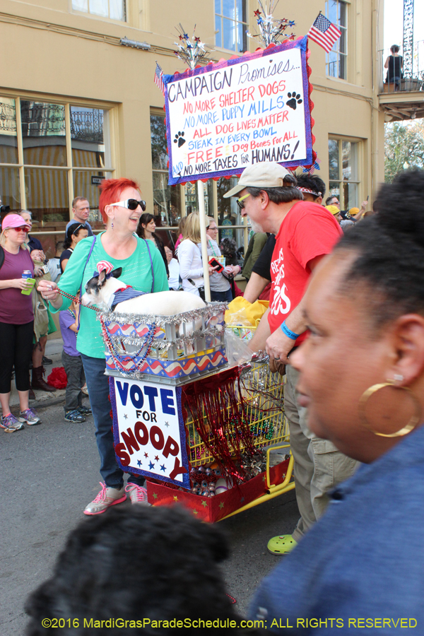 2016-Mystic-Krewe-of-Barkus-hc005428