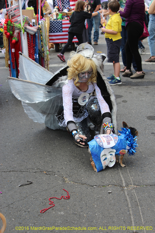 2016-Mystic-Krewe-of-Barkus-hc005430
