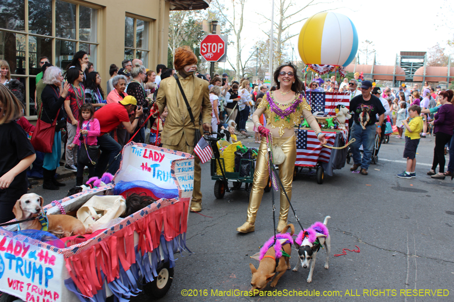 2016-Mystic-Krewe-of-Barkus-hc005431