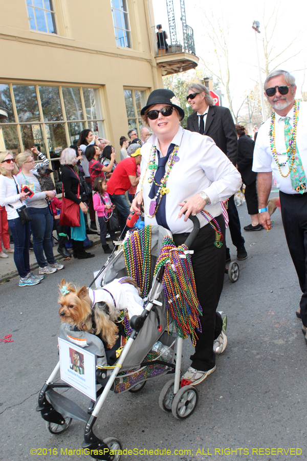2016-Mystic-Krewe-of-Barkus-hc005433