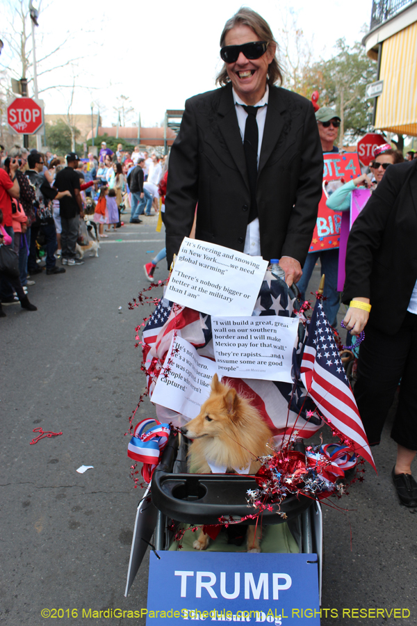 2016-Mystic-Krewe-of-Barkus-hc005434