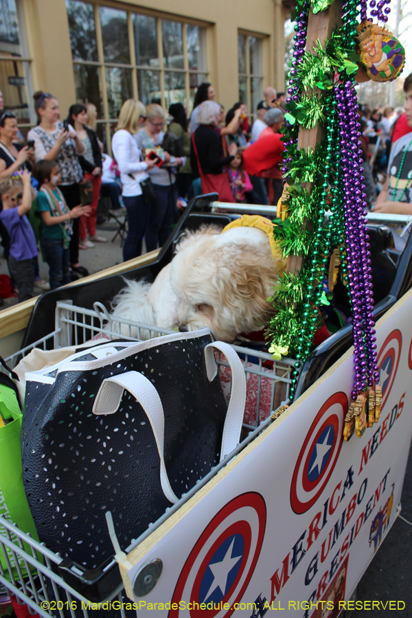 2016-Mystic-Krewe-of-Barkus-hc005437