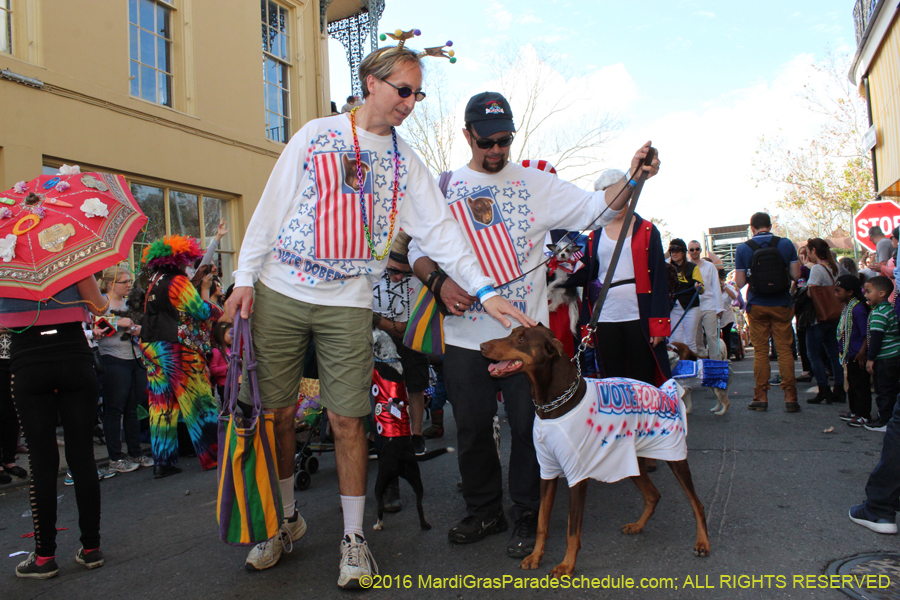 2016-Mystic-Krewe-of-Barkus-hc005439