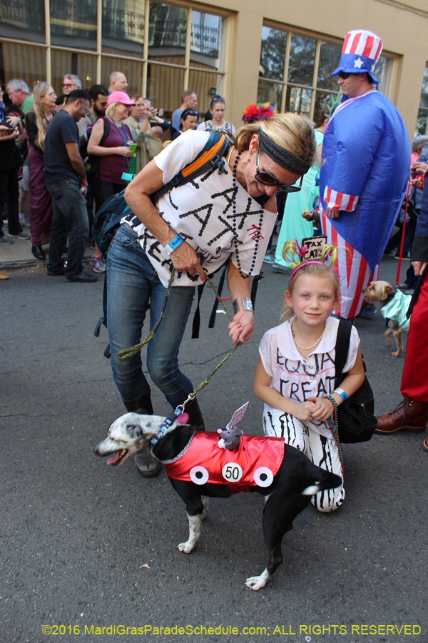 2016-Mystic-Krewe-of-Barkus-hc005441