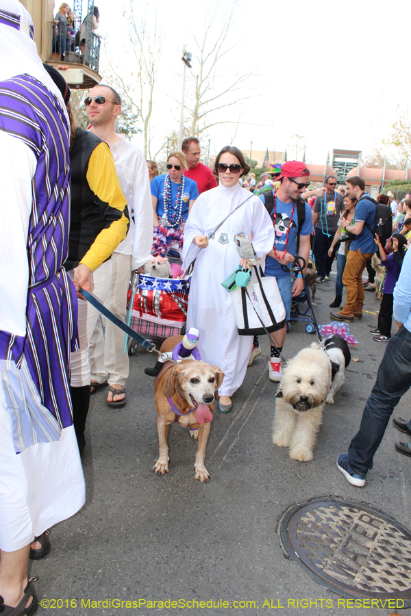 2016-Mystic-Krewe-of-Barkus-hc005442