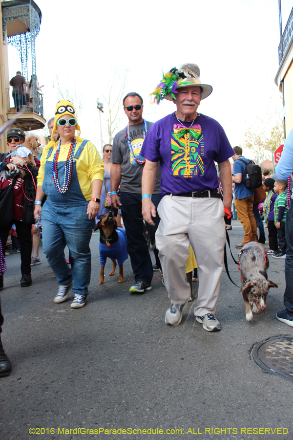 2016-Mystic-Krewe-of-Barkus-hc005444