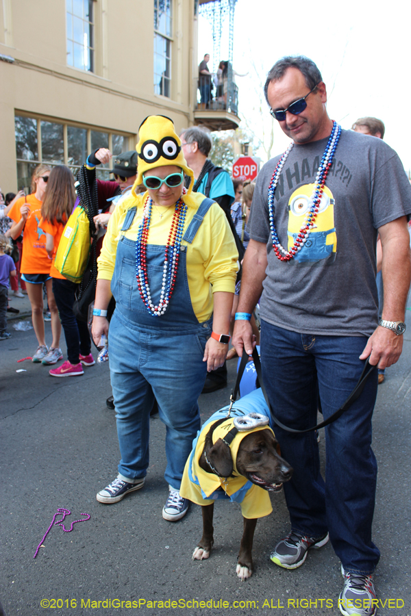 2016-Mystic-Krewe-of-Barkus-hc005445