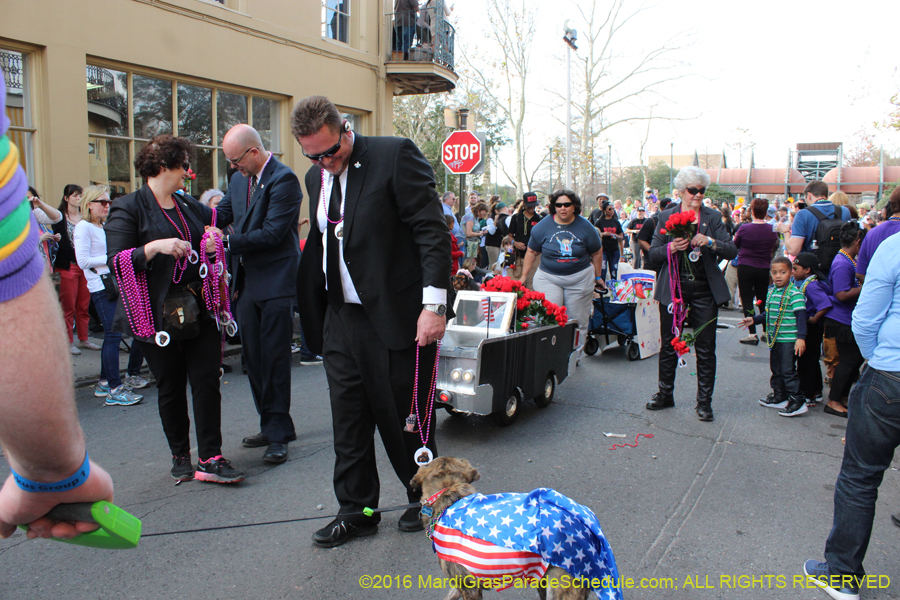 2016-Mystic-Krewe-of-Barkus-hc005446