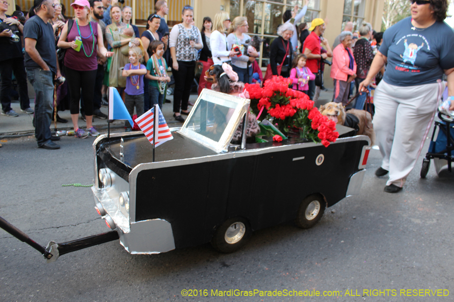 2016-Mystic-Krewe-of-Barkus-hc005447