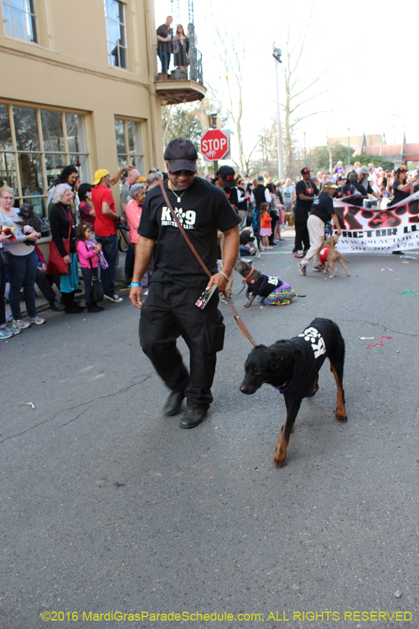2016-Mystic-Krewe-of-Barkus-hc005448