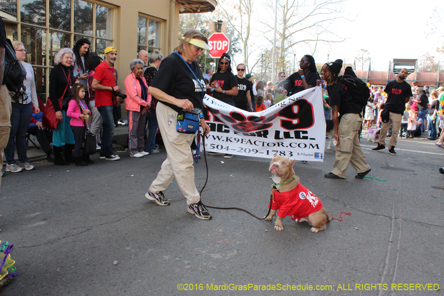 2016-Mystic-Krewe-of-Barkus-hc005451