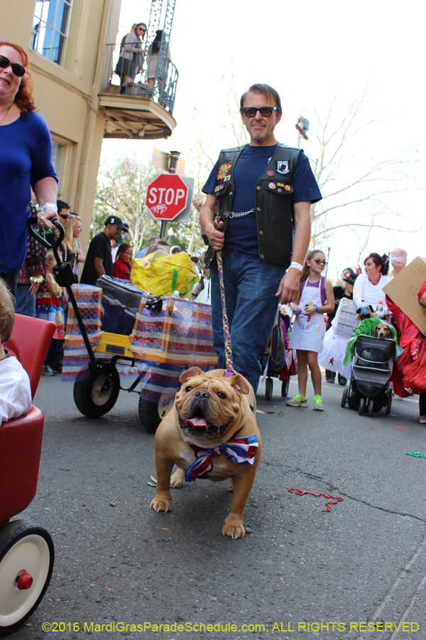 2016-Mystic-Krewe-of-Barkus-hc005454