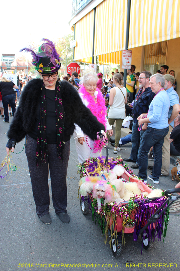 2016-Mystic-Krewe-of-Barkus-hc005455