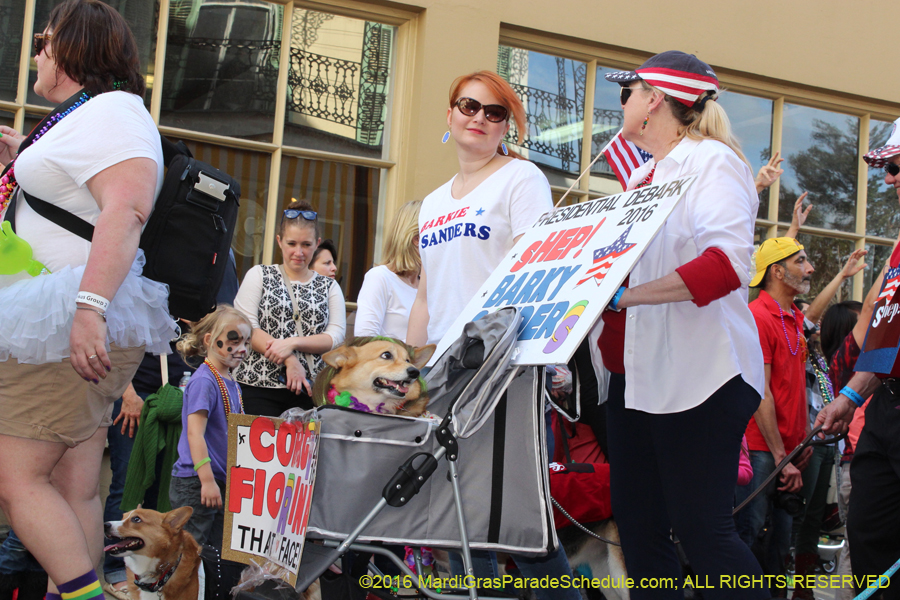 2016-Mystic-Krewe-of-Barkus-hc005457