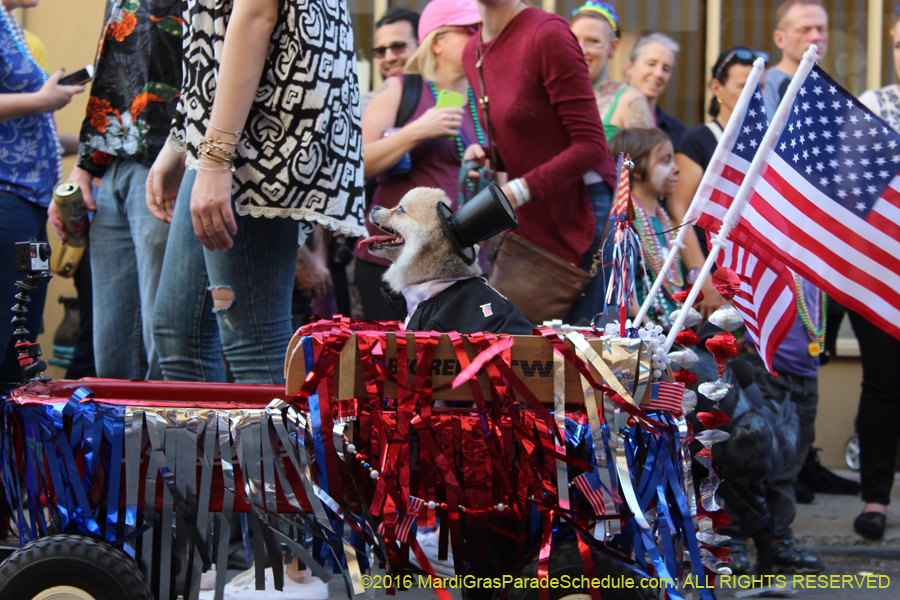 2016-Mystic-Krewe-of-Barkus-hc005459