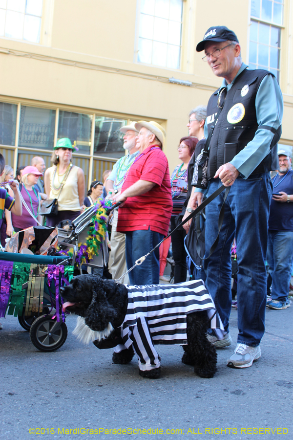 2016-Mystic-Krewe-of-Barkus-hc005462