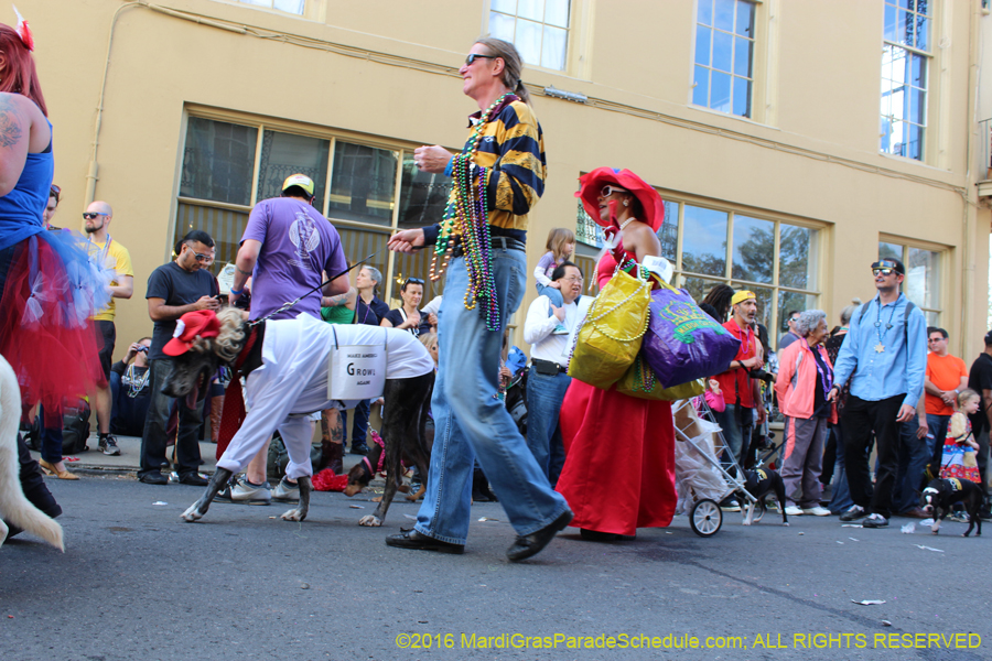 2016-Mystic-Krewe-of-Barkus-hc005464