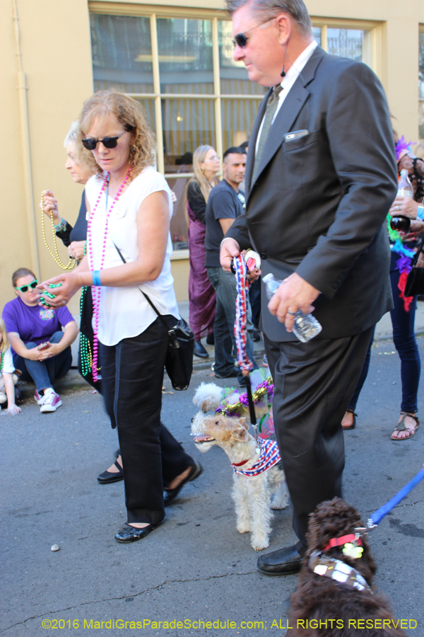 2016-Mystic-Krewe-of-Barkus-hc005470