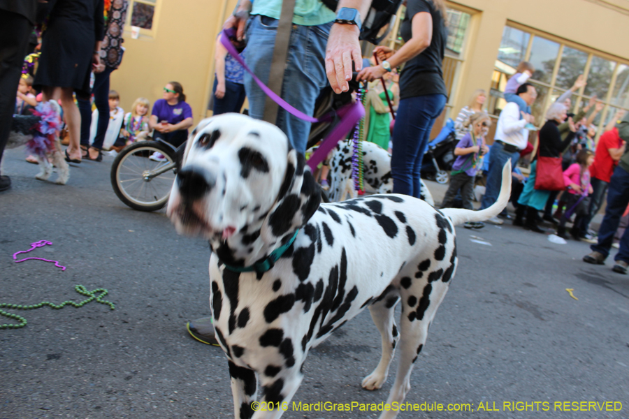 2016-Mystic-Krewe-of-Barkus-hc005471
